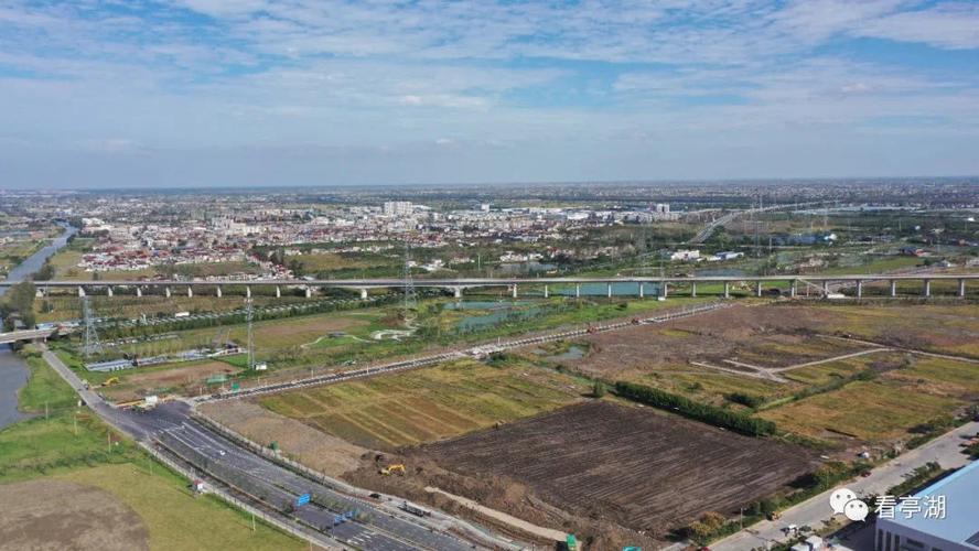 为加快城市更新,提升城市能级,亭湖区开工建设市政基础设施,园林绿化